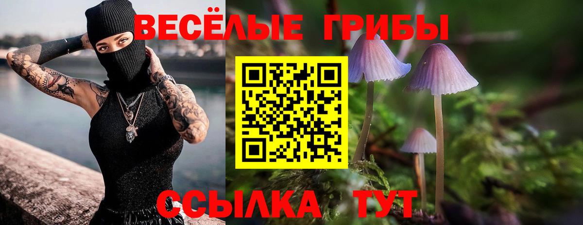 Псилоцибиновые грибы MAGIC MUSHROOMS  Вход с VPN  Камышин  Псилоцибиновые грибы Psilocybine cubensis 