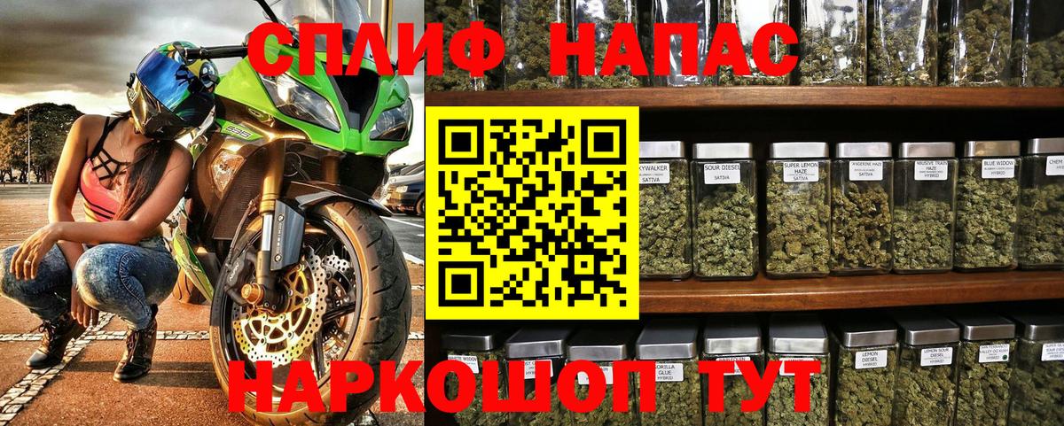 Бошки Шишки планчик Камышин